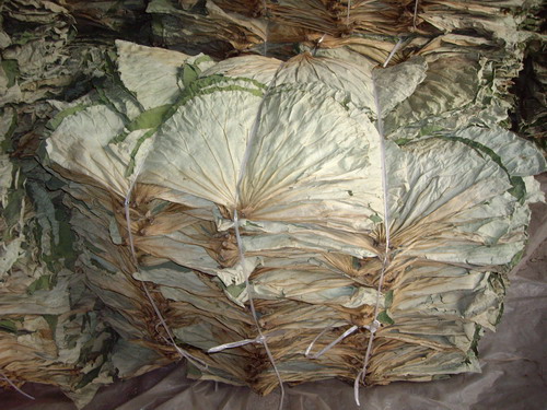 干荷葉