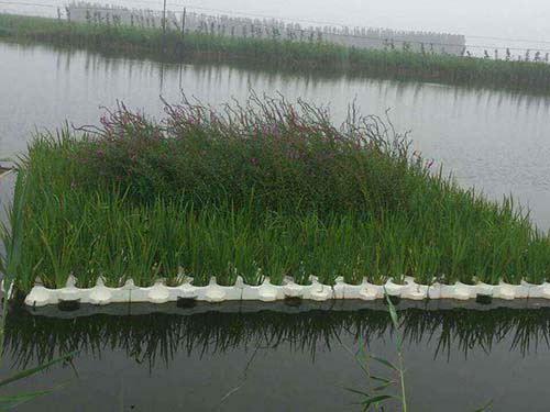 生態(tài)浮床