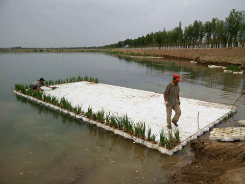 生態(tài)浮島