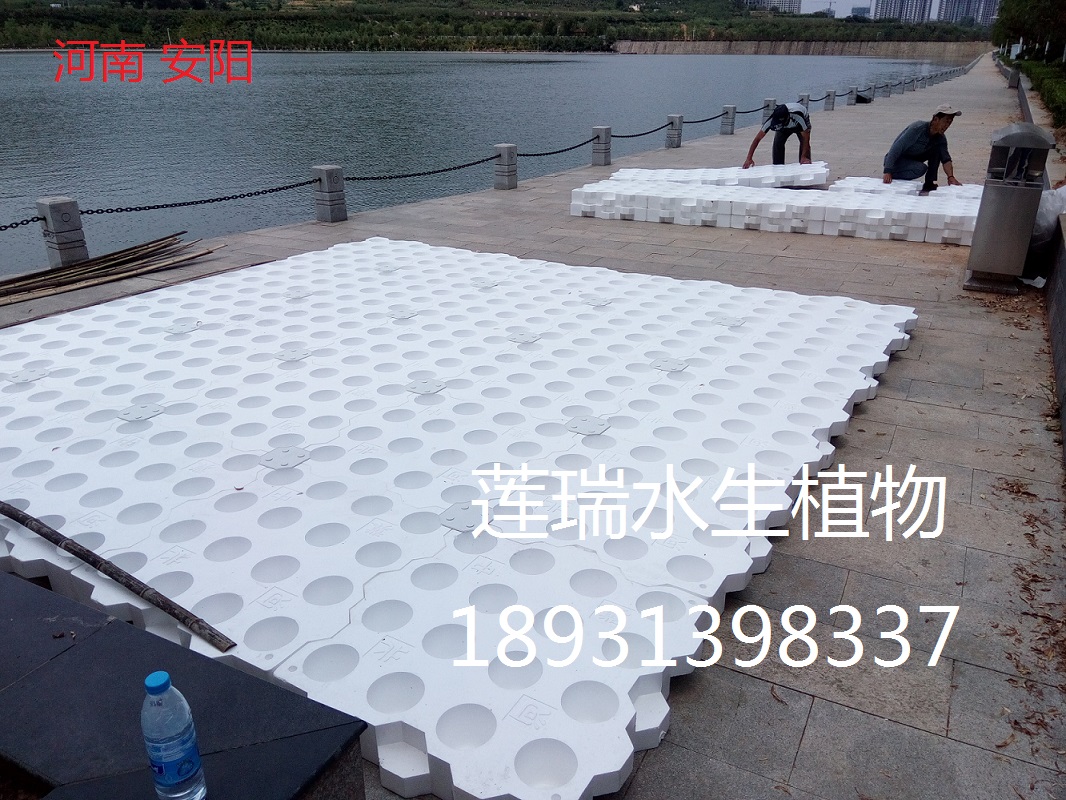 安陽(yáng)生態(tài)浮床