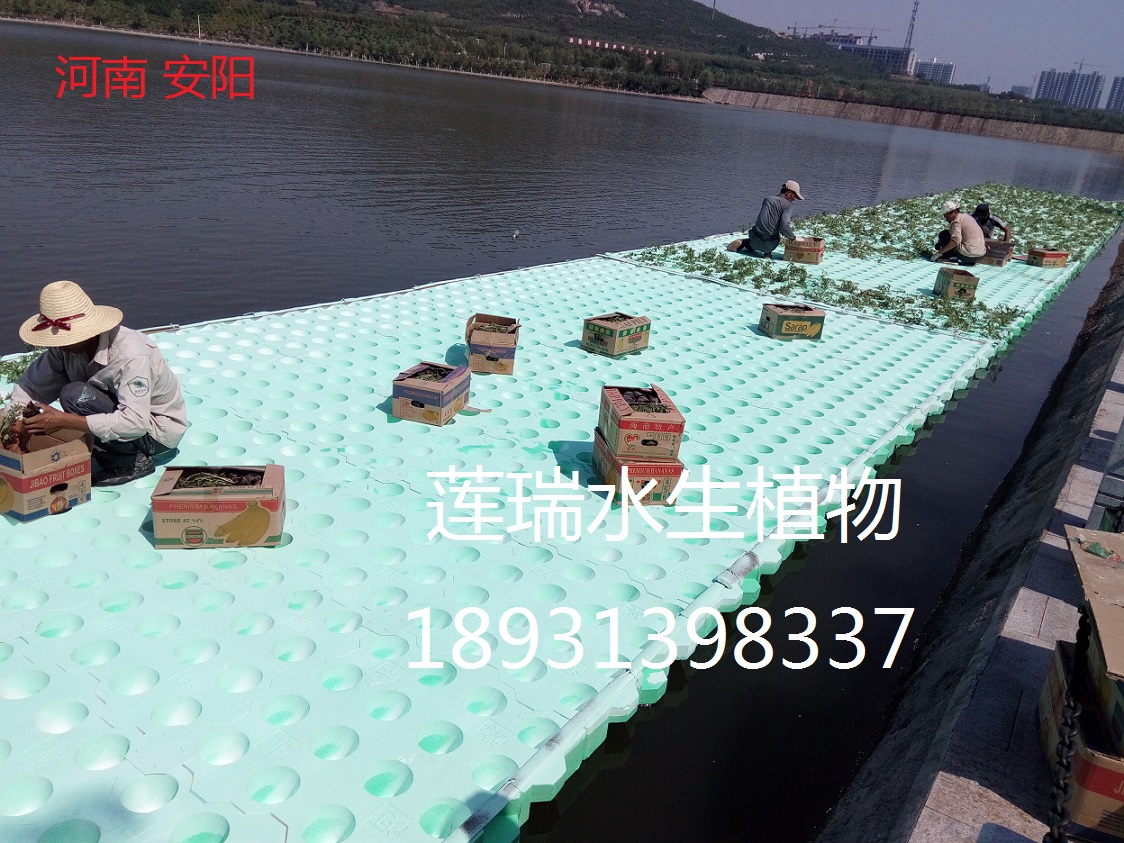 安陽生態(tài)浮島