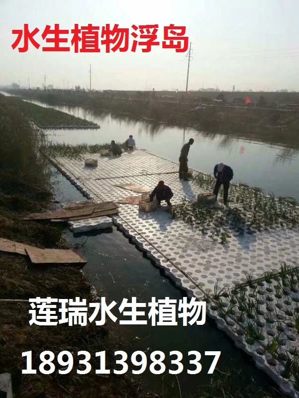 山西長(zhǎng)治生態(tài)浮島