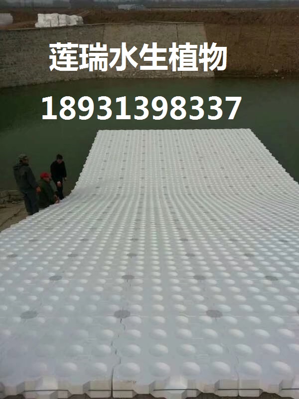 河南生態(tài)浮島