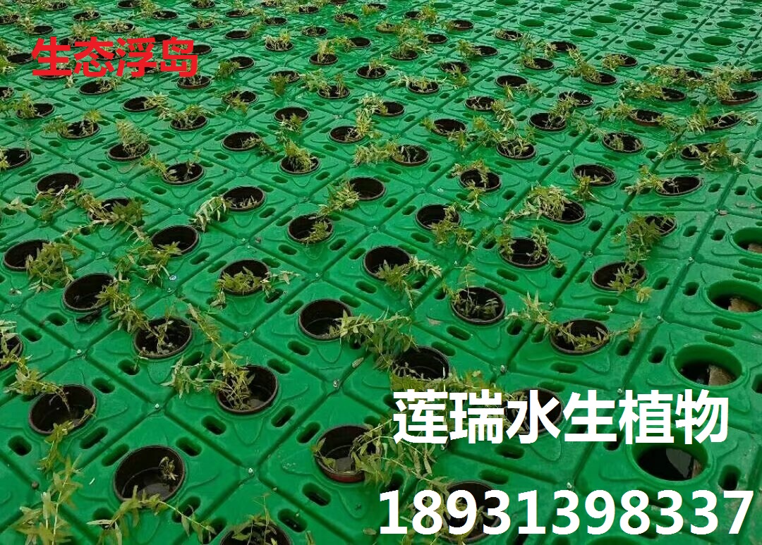 河道生態(tài)浮島