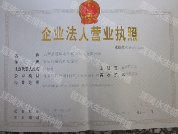 營(yíng)業(yè)執(zhí)照