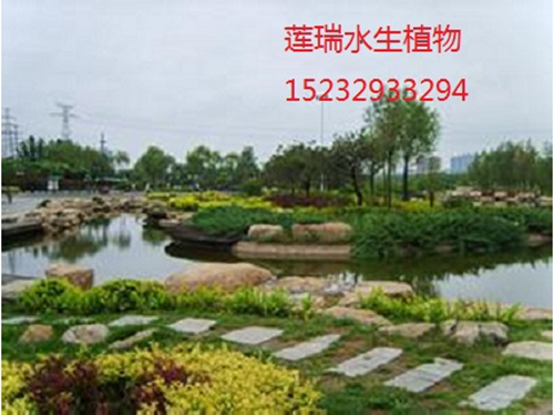 山西省汾河濕地公園