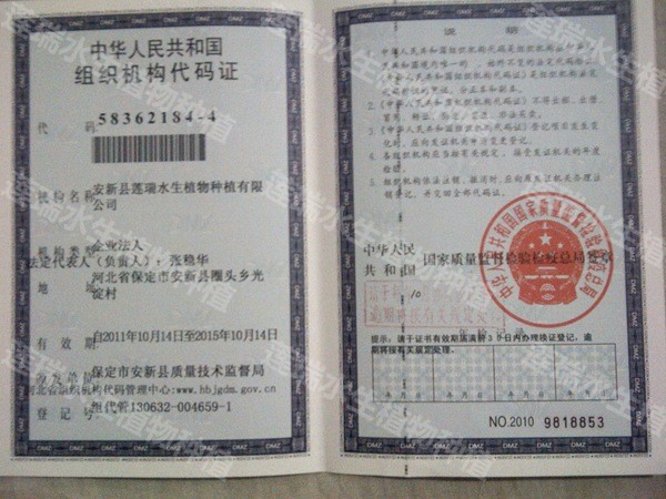 組織機(jī)構(gòu)代碼